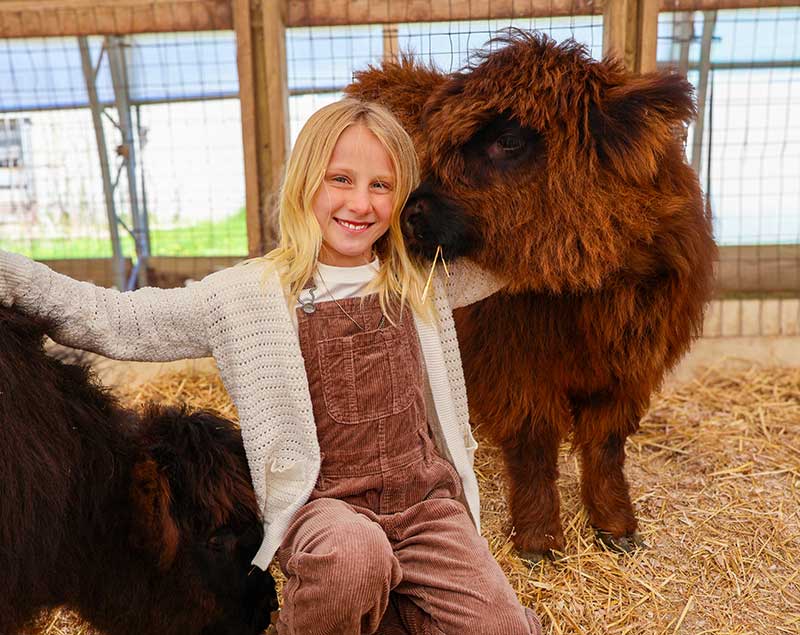 Girl cuddling with to highland cows in holland mi at Country Corners Farm