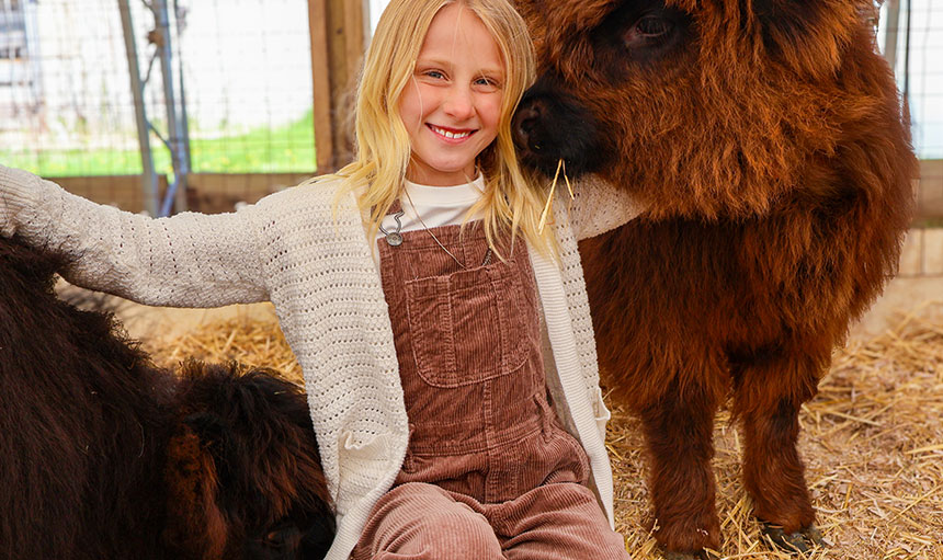 book a cuddle session with highland cows, Penny and Pepper in Holland, MI
