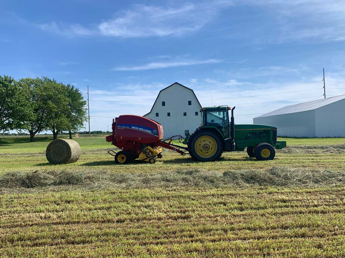 Country Corners Farm located in Holland MI | Farm Rasied Beef Cattle and Highland Cow Agritourism