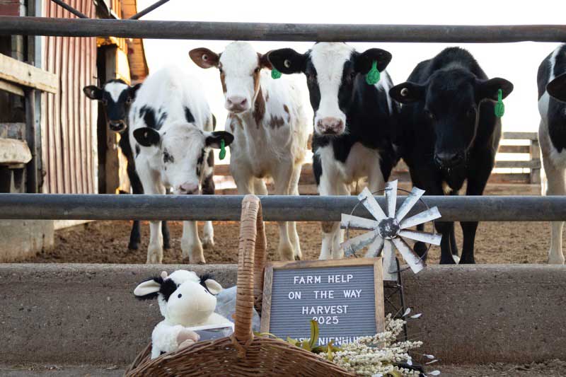 baby-announcement-farm