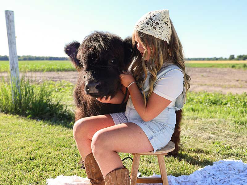 child-hugging-black-highland-cow-photoshoot Young girl with a crochet headband sitting on a stool and hugging a black fluffy Highland cow outdoors