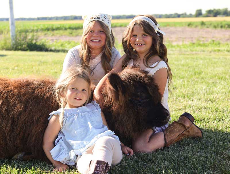family-photo-highland-cows