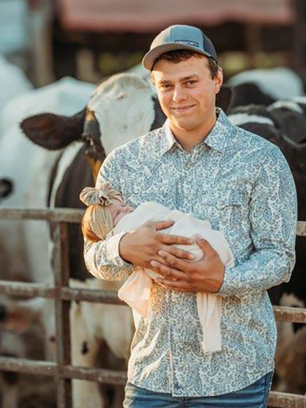 newborn-photography-session-at-farm Father holding swaddled newborn baby in front of dairy cows during a farm portrait session